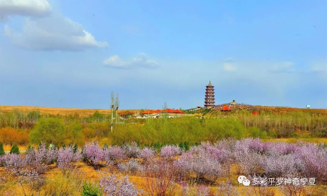 3.webp.jpg 3.webp.jpg