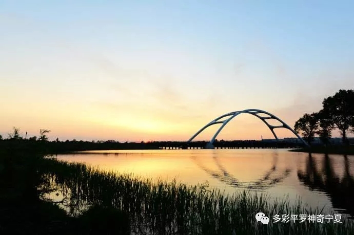 4.webp.jpg 4.webp.jpg