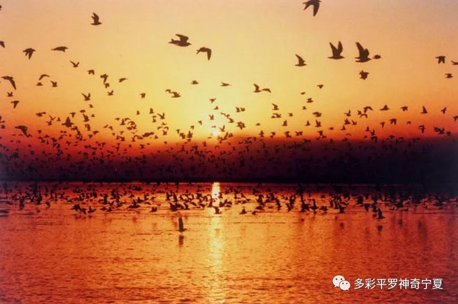 QQ截图20190111141705.png QQ截图20190111141705.png