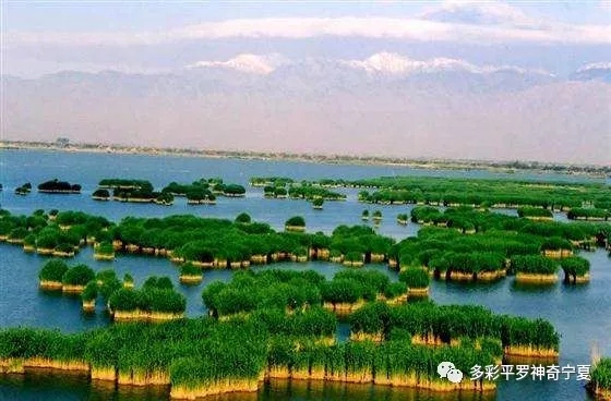 7.webp.jpg 7.webp.jpg