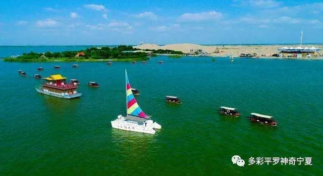 8.webp.jpg 8.webp.jpg