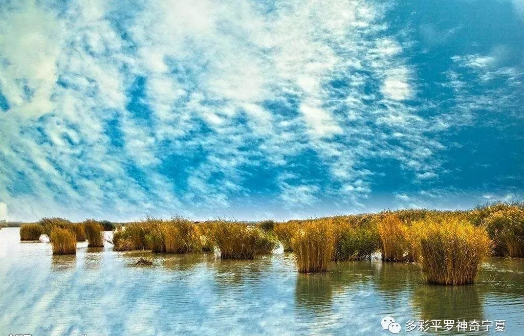 9.webp.jpg 9.webp.jpg