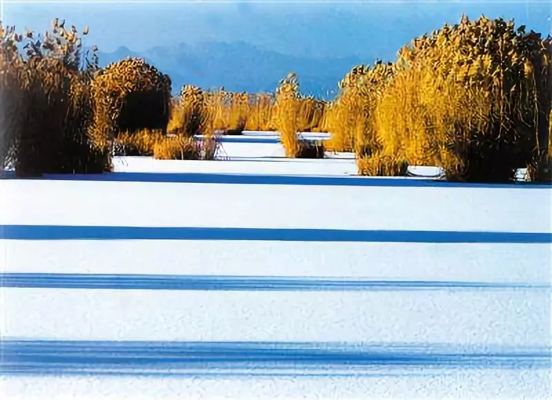 10.webp.jpg 10.webp.jpg