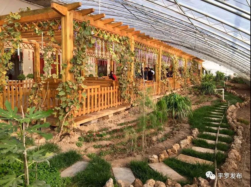 平罗县五一假期掀起乡村旅游热