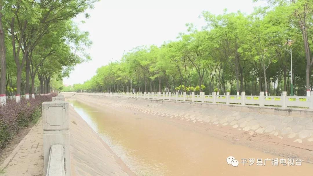 唐徕渠畔 景色秀丽