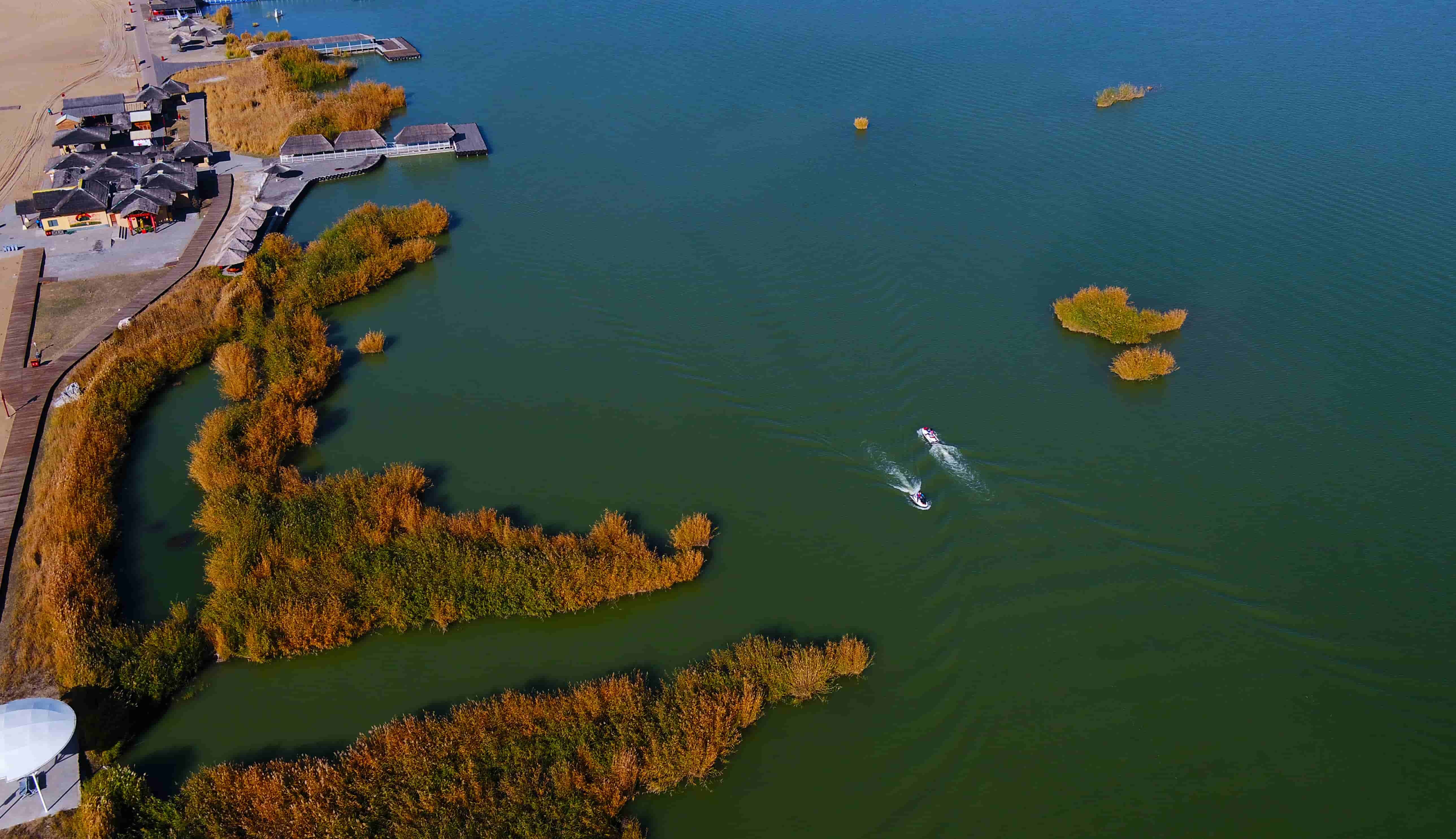 秋天的回答 | 宁夏:沙湖迎来南北客