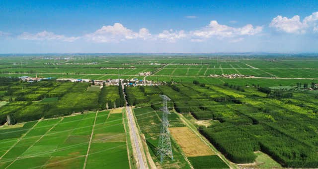 沃野千里绿意浓