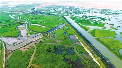 晒文旅 晒优品 促消费｜醉美沙湖  毓秀平罗