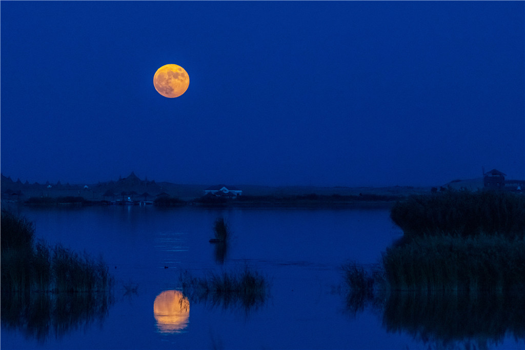 守护绿水青山 描绘生态文明新画卷