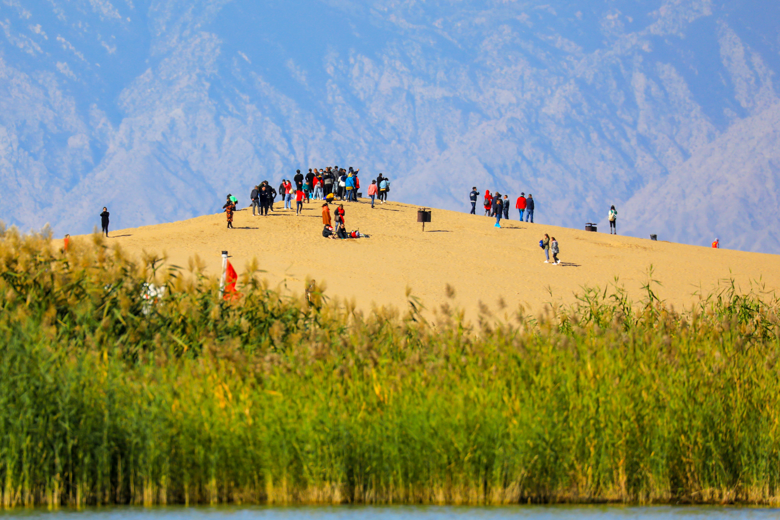 秋色浸染沙湖美 平稳有序迎宾客
