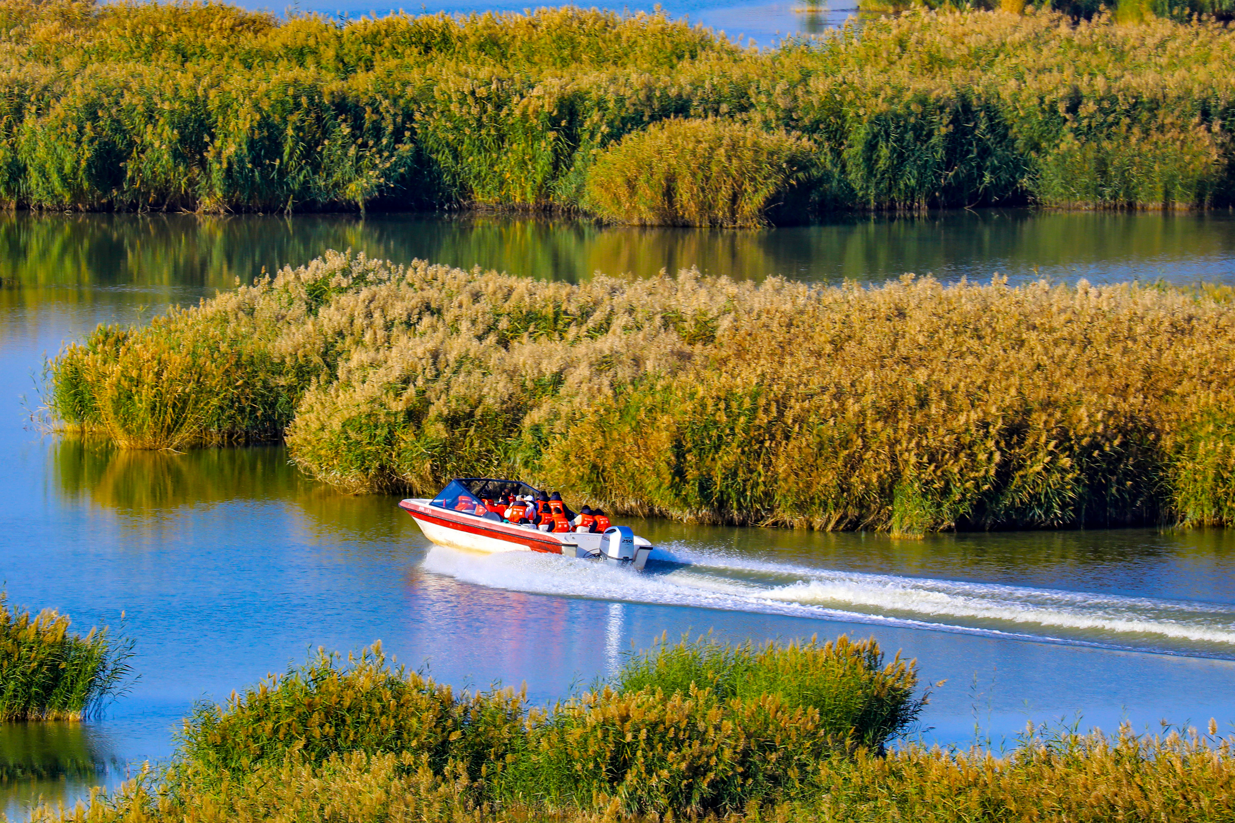 青铜峡市和平罗县榜上有名