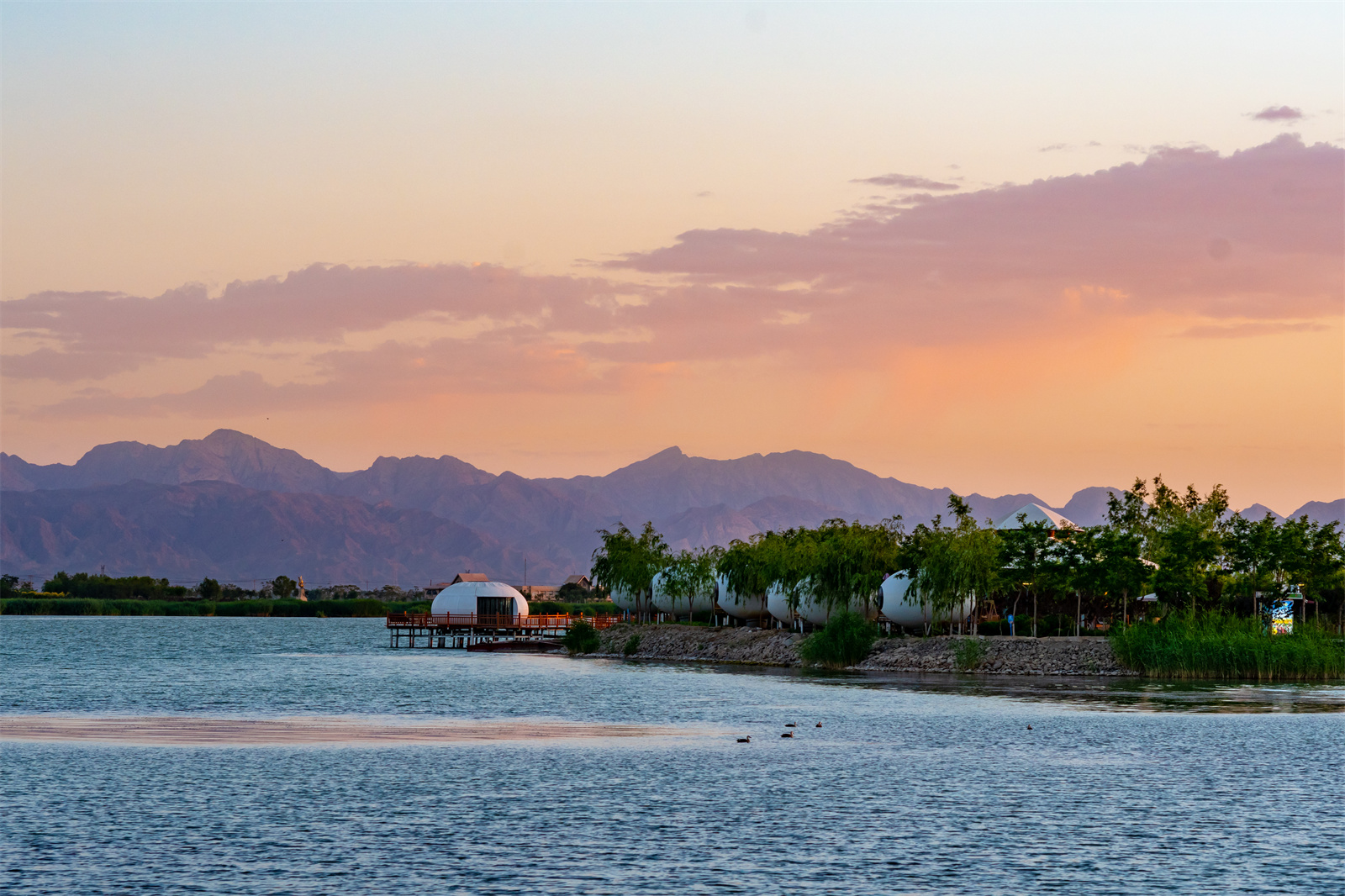 从白天到黑夜,夏日沙湖每一刻都是风景