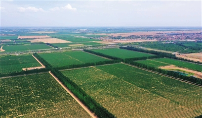 热门“网红打卡地”闽宁镇值得一去