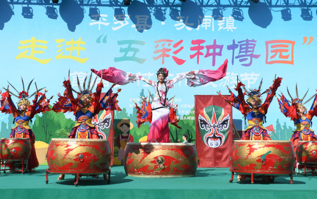 邀你打卡!宁夏平罗县头闸镇“走进五彩种博园” 首届乡村文化旅游节开幕