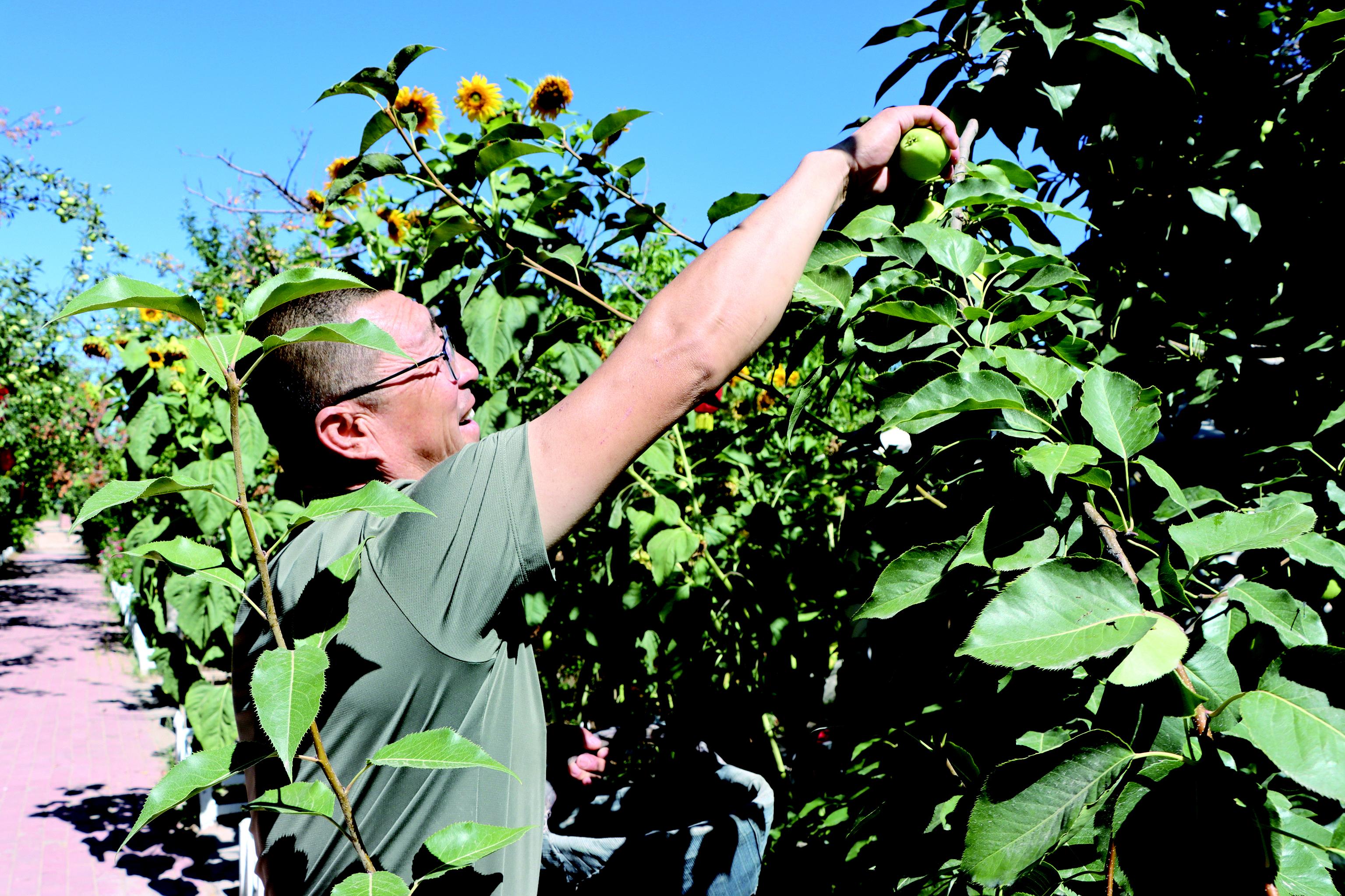 平罗县高仁乡六顷地村入选第三批全国乡村旅游重点村名单