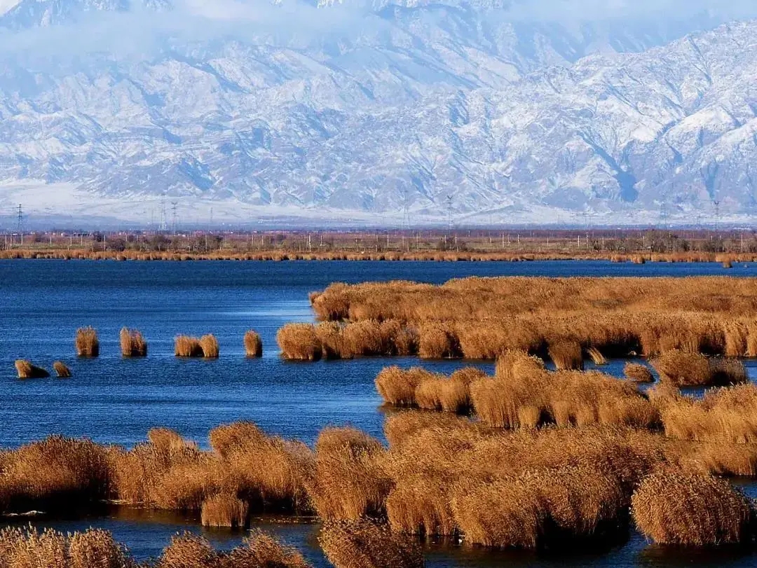 冬季来沙湖,领略那塞北独特的曼妙